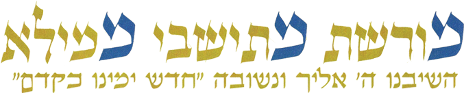 מורשת מתיישבי ממילא